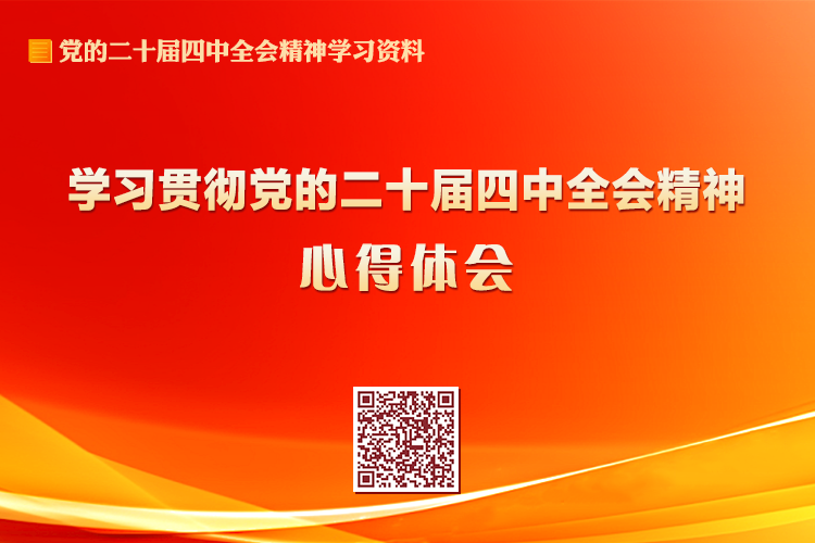 学习贯彻党的二十届四中全会精神心得体会
